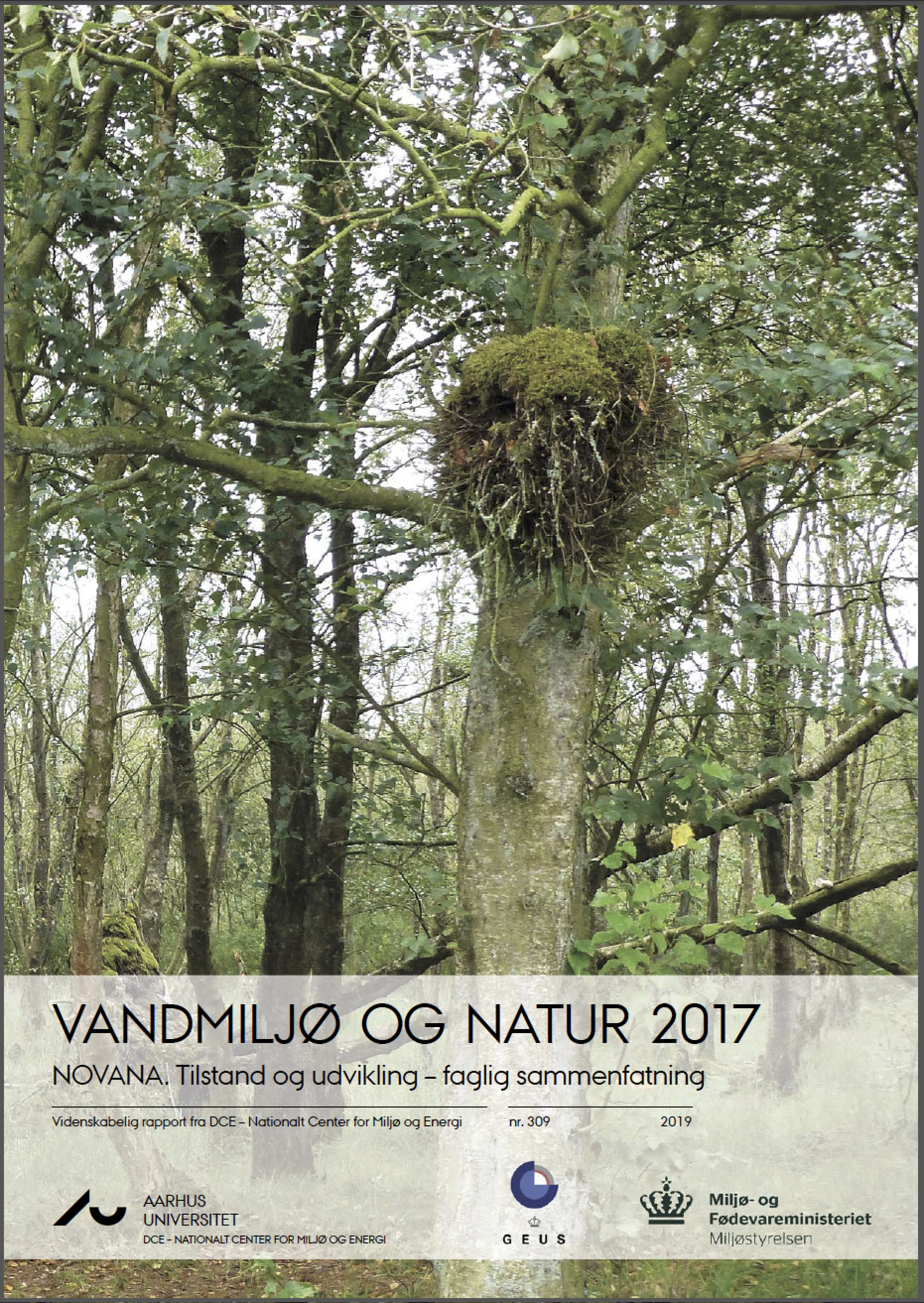 Status Pa Danmarks Natur Novana 2017 Naturbeskyttelse Dk status pa danmarks natur novana 2017
